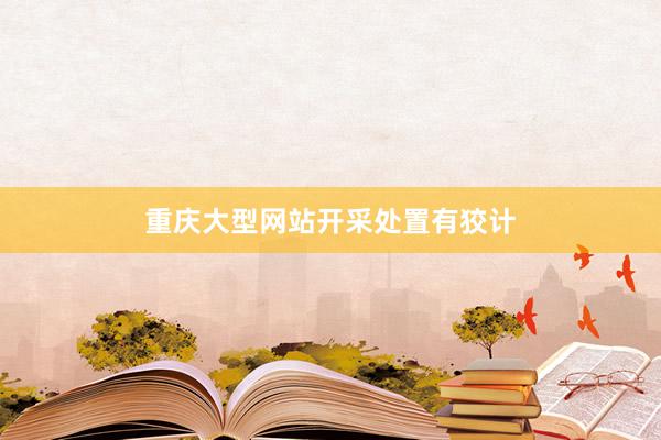 重庆大型网站开采处置有狡计
