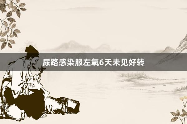 尿路感染服左氧6天未见好转