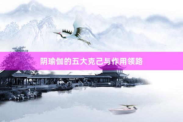 阴瑜伽的五大克己与作用领路