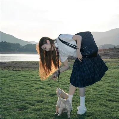 虎豹龙蛇鹰粤语