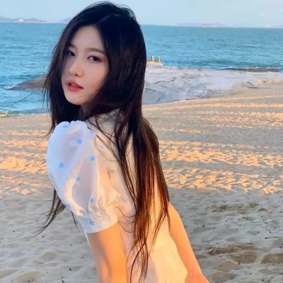 TheWild：野兽们的战争